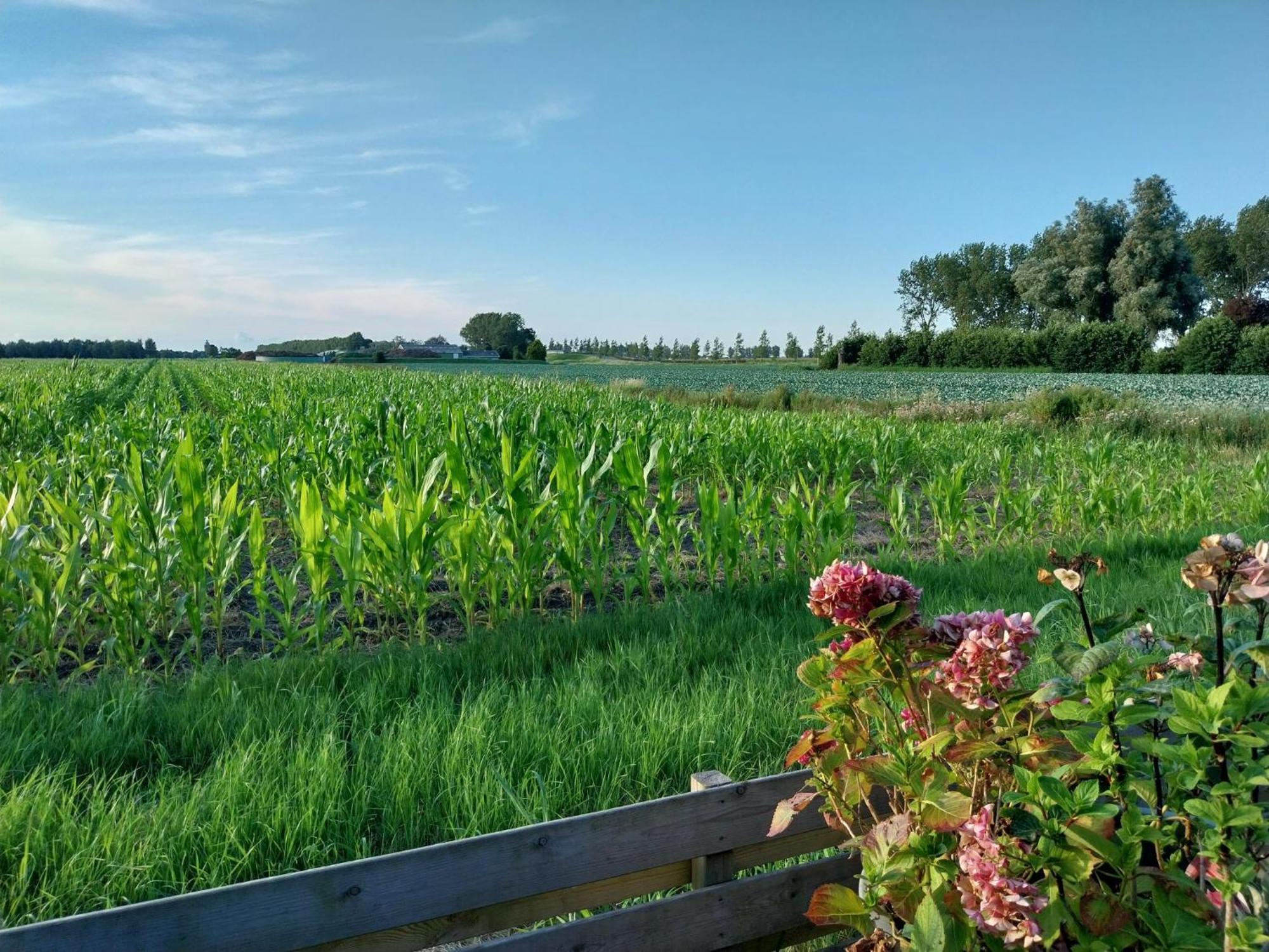 Vakantiewoning Hem Luaran gambar